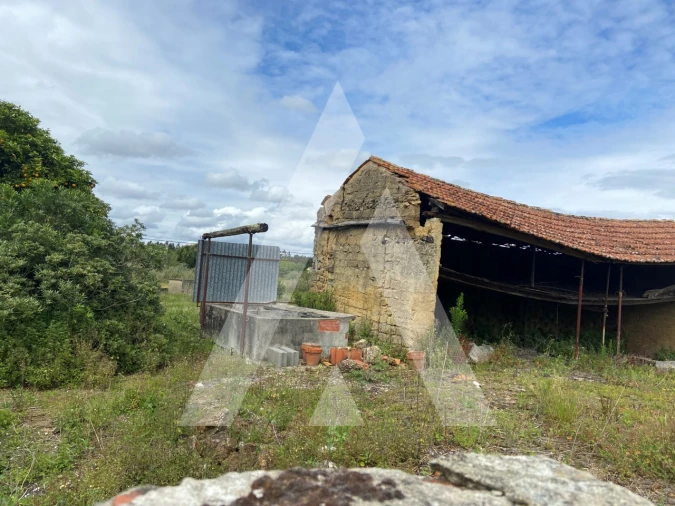 Terreno para Venda em São Lourenço do Bairro Foto 5