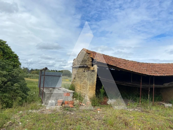 Terreno para Venda em São Lourenço do Bairro Foto 6
