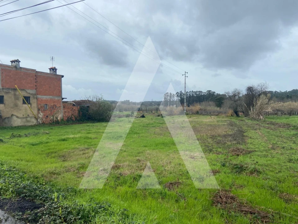 Terreno para Venda em Amoreira da Gândara, Paredes do Bairro e Ancas Foto 2
