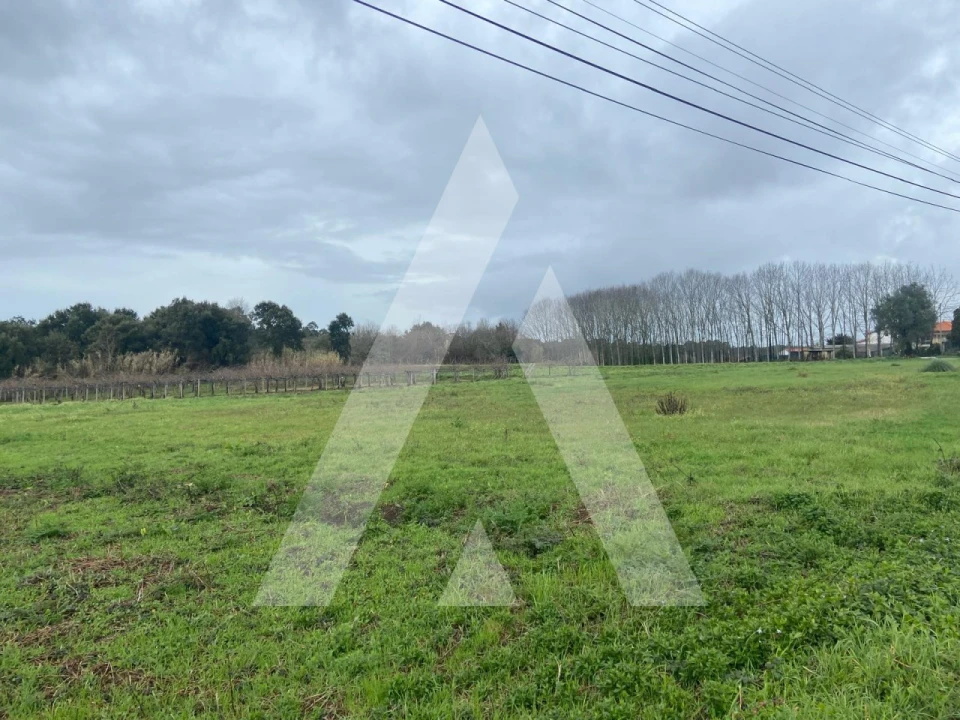 Terreno para Venda em Amoreira da Gândara, Paredes do Bairro e Ancas Foto 5