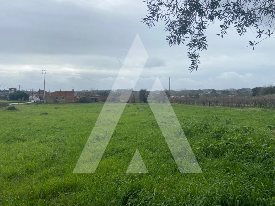 Terreno para Venda em Amoreira da Gândara, Paredes do Bairro e Ancas Foto 7