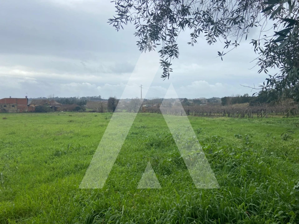 Terreno para Venda em Amoreira da Gândara, Paredes do Bairro e Ancas Foto 9