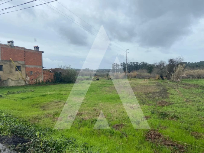 Terreno para Venda em Amoreira da Gândara, Paredes do Bairro e Ancas Foto 2
