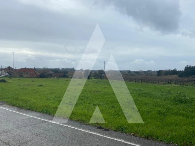 Terreno para Venda em Amoreira da Gândara, Paredes do Bairro e Ancas Foto 4