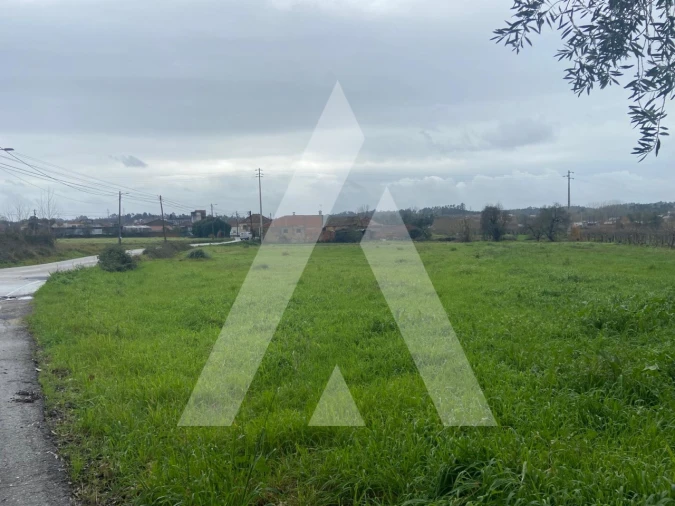 Terreno para Venda em Amoreira da Gândara, Paredes do Bairro e Ancas Foto 10