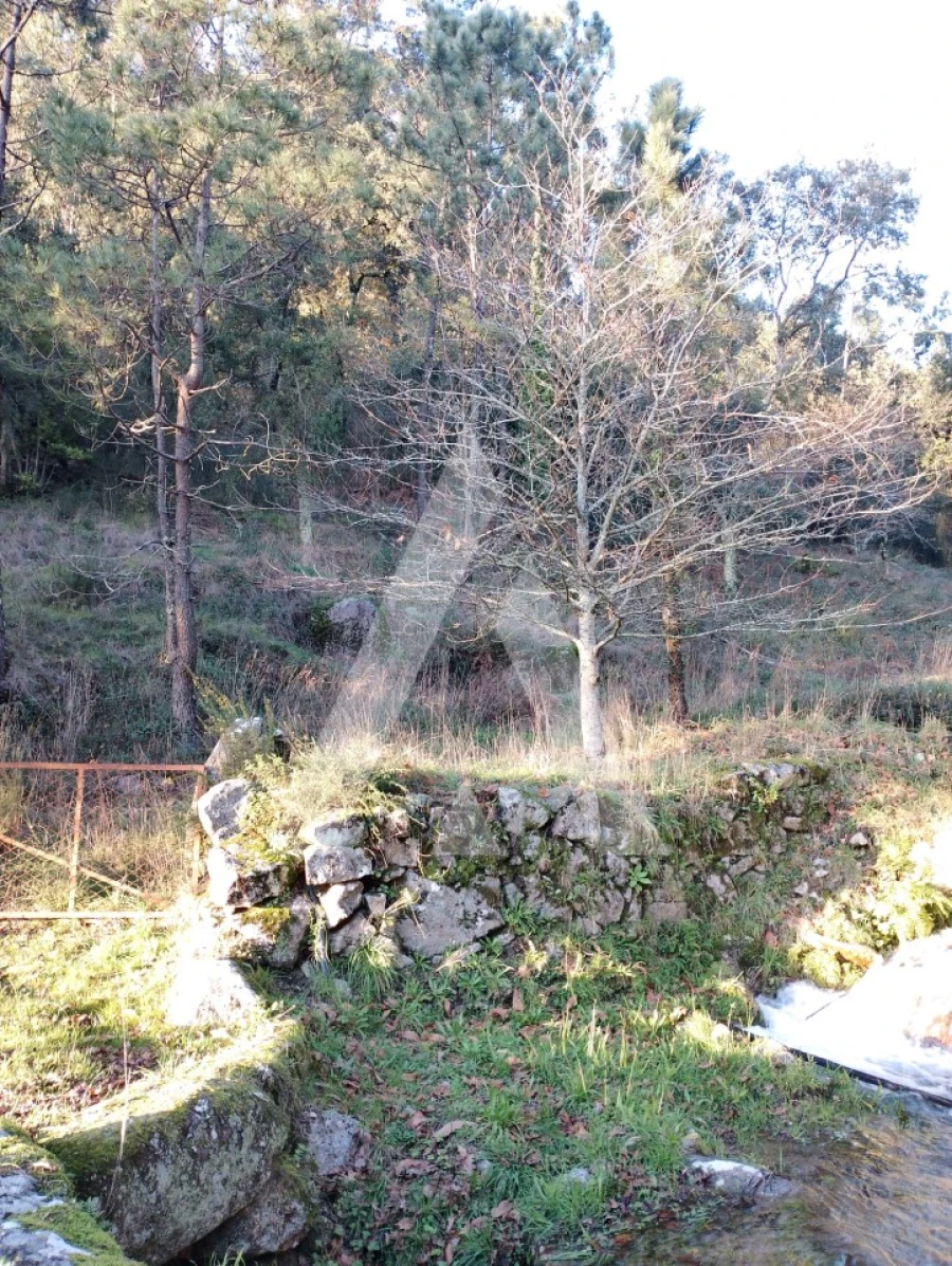 Terreno para Venda em Santa Maria Maior e Monserrate e Meadela Foto 2