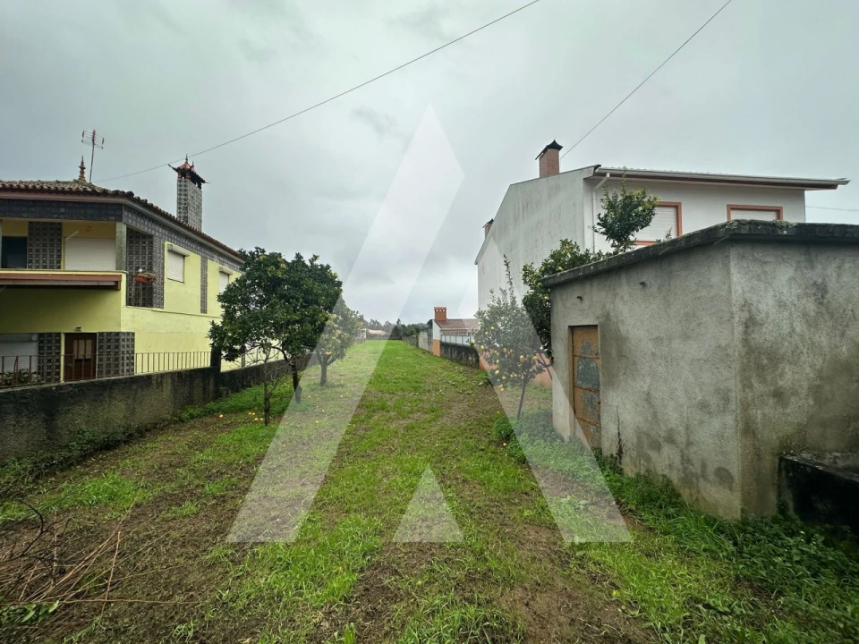Terreno para Venda em Águeda e Borralha Foto 1