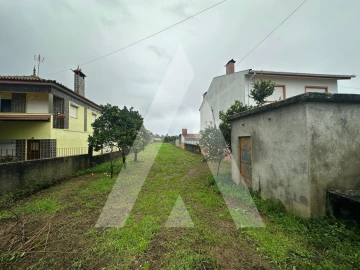 Terreno para Venda em Águeda e Borralha