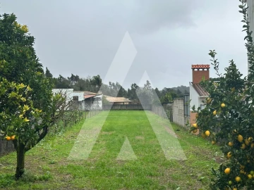Terreno para Venda em Águeda e Borralha