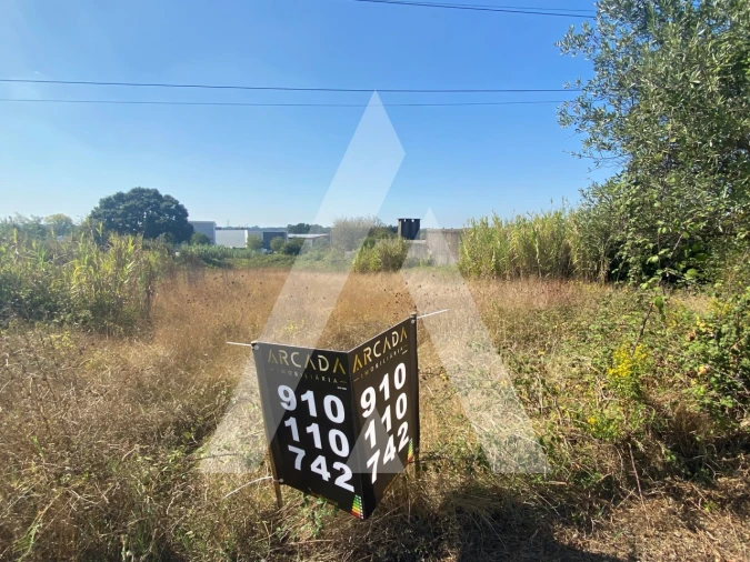 Terreno para Venda em Sangalhos Foto 4