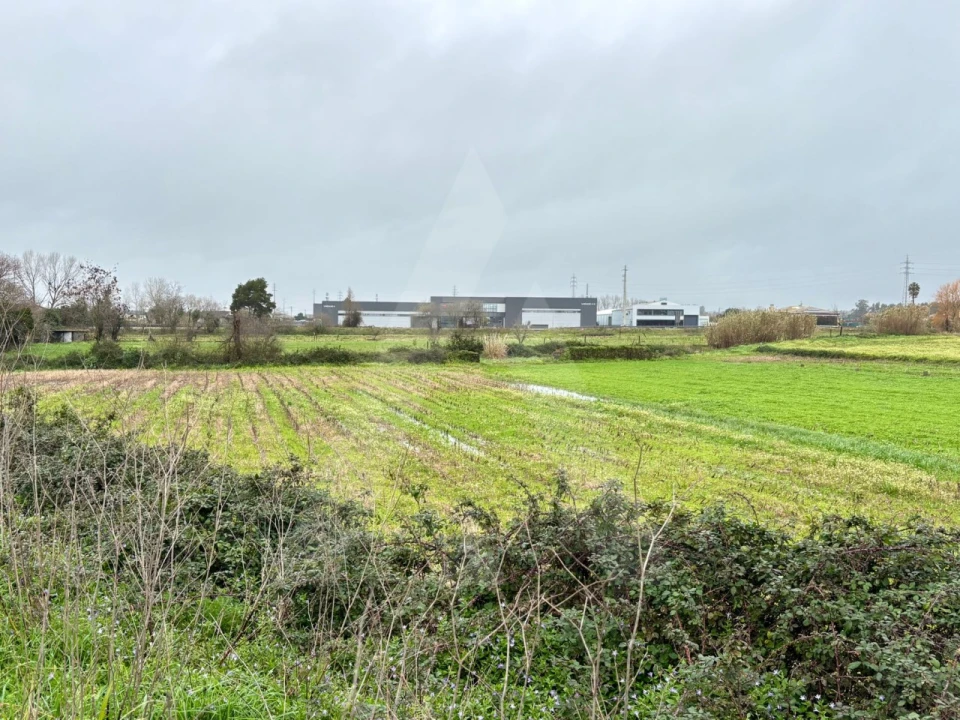 Terreno para Venda em Valega Foto 6