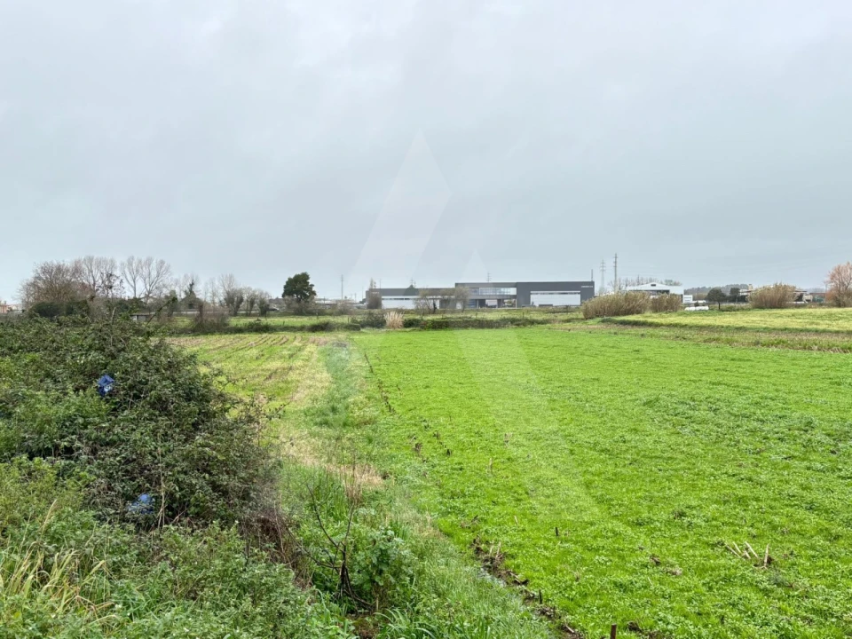 Terreno para Venda em Valega Foto 7