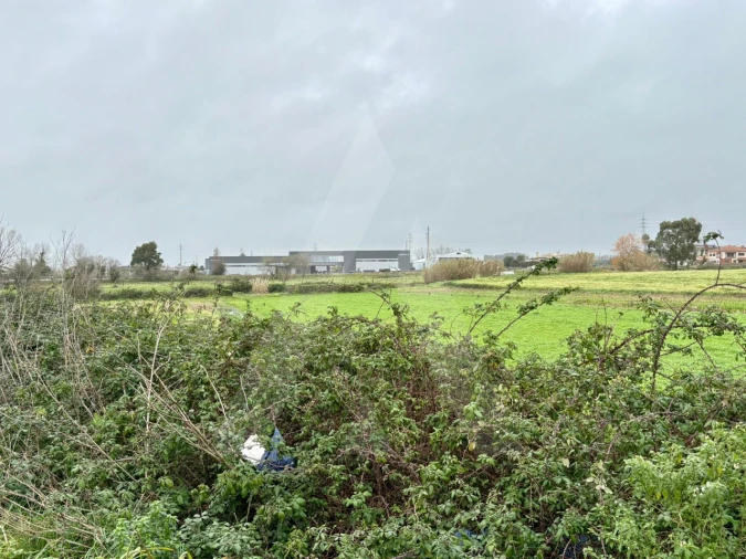 Terreno para Venda em Valega Foto 4