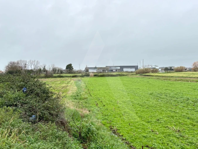 Terreno para Venda em Valega Foto 7