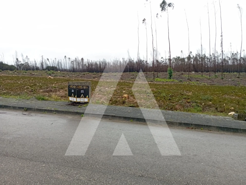 Terreno para Venda em Valongo do Vouga Foto 1