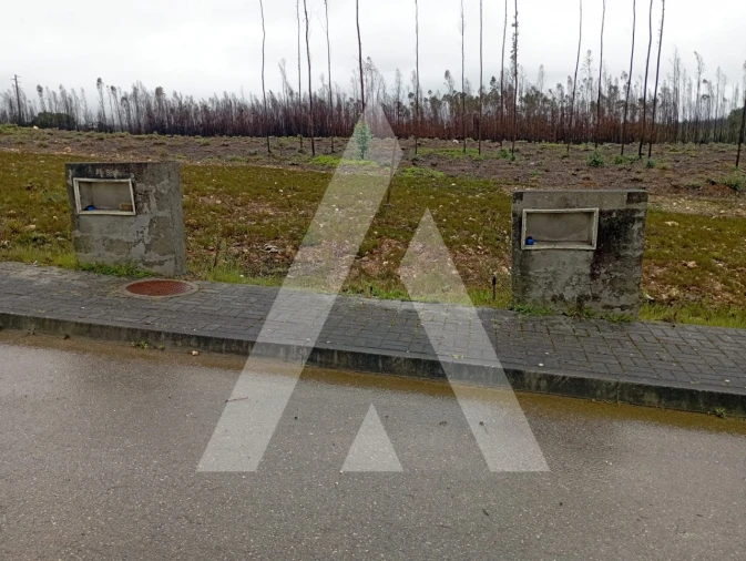 Terreno para Venda em Valongo do Vouga Foto 3
