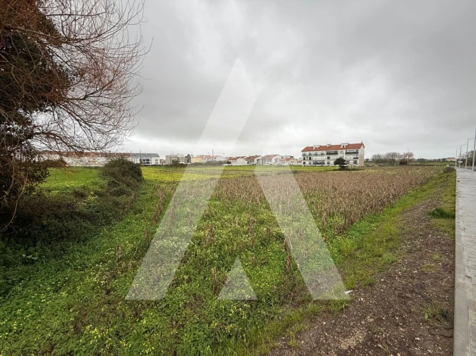 Terreno para Venda em Gafanha da Encarnação Foto 9