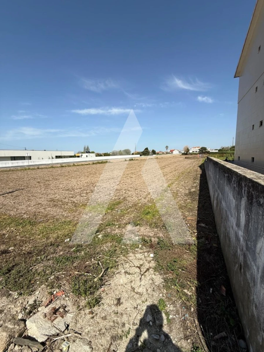 Terreno para Venda em Gafanha da Encarnação Foto 11