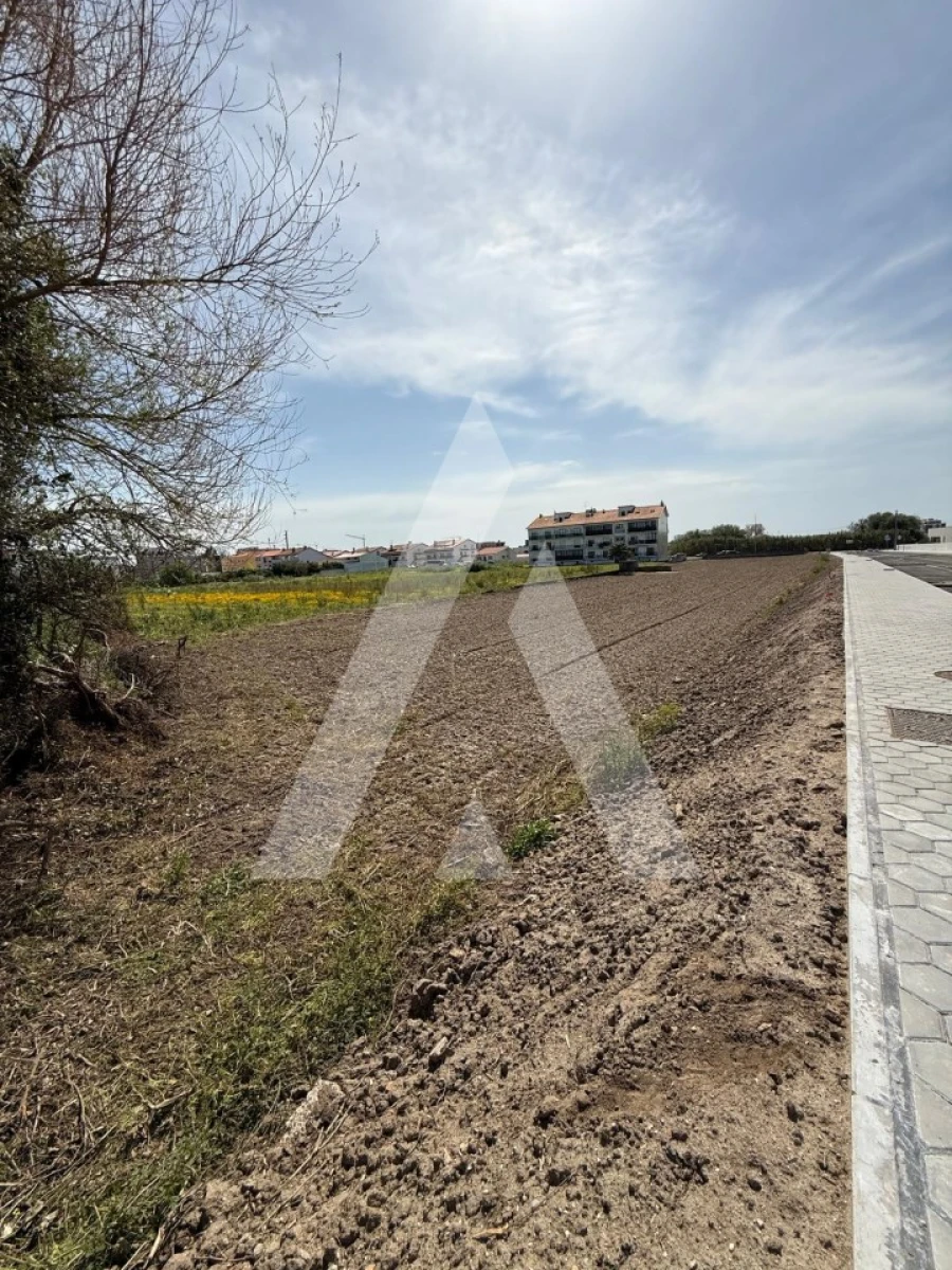Terreno para Venda em Gafanha da Encarnação Foto 14