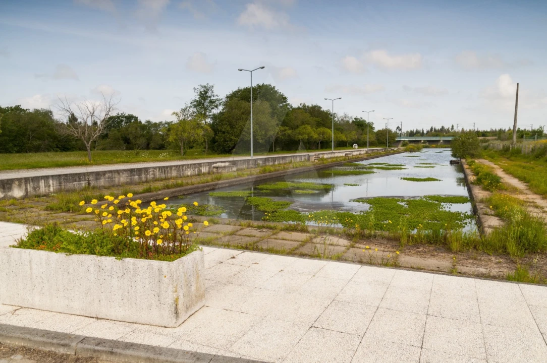 Terreno para Venda em Canelas e Fermelã Foto 15