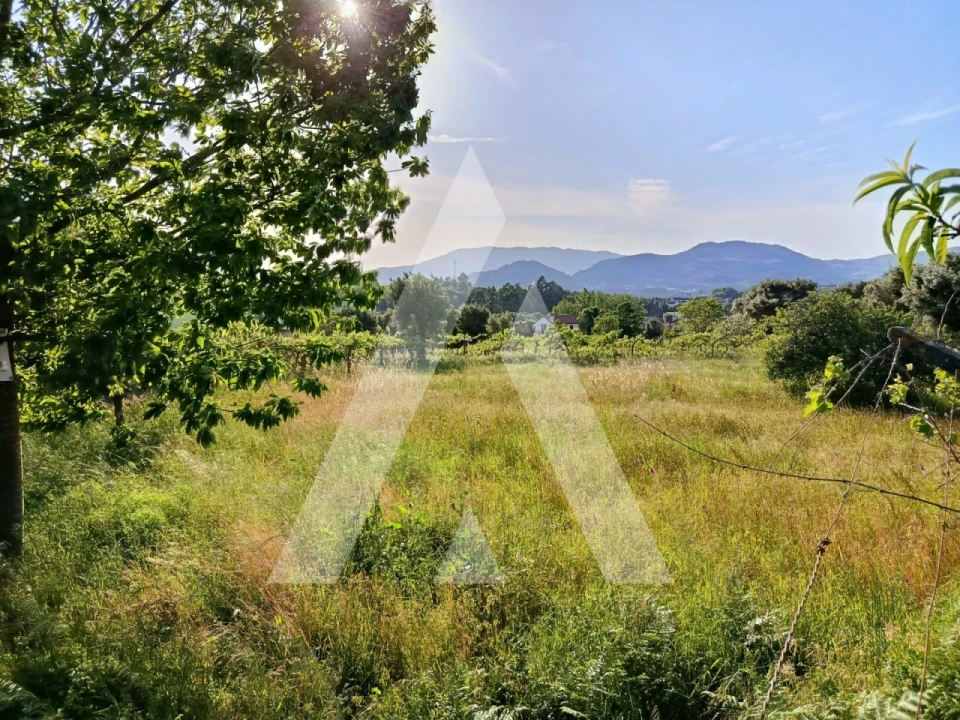 Terreno para Venda em Ribeira Foto 2
