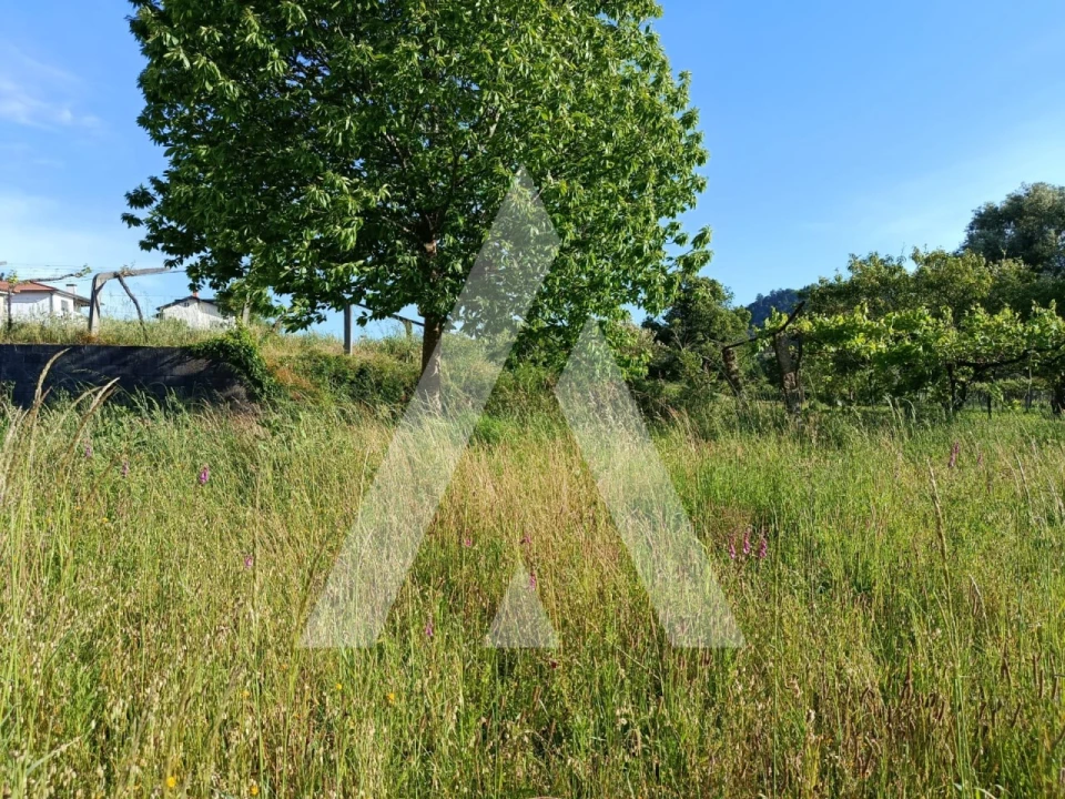 Terreno para Venda em Ribeira Foto 1