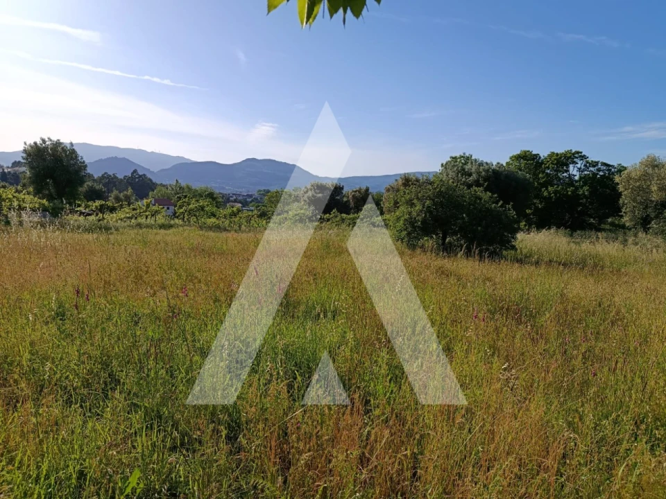 Terreno para Venda em Ribeira Foto 10