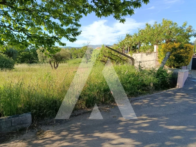 Terreno para Venda em Ribeira Foto 13