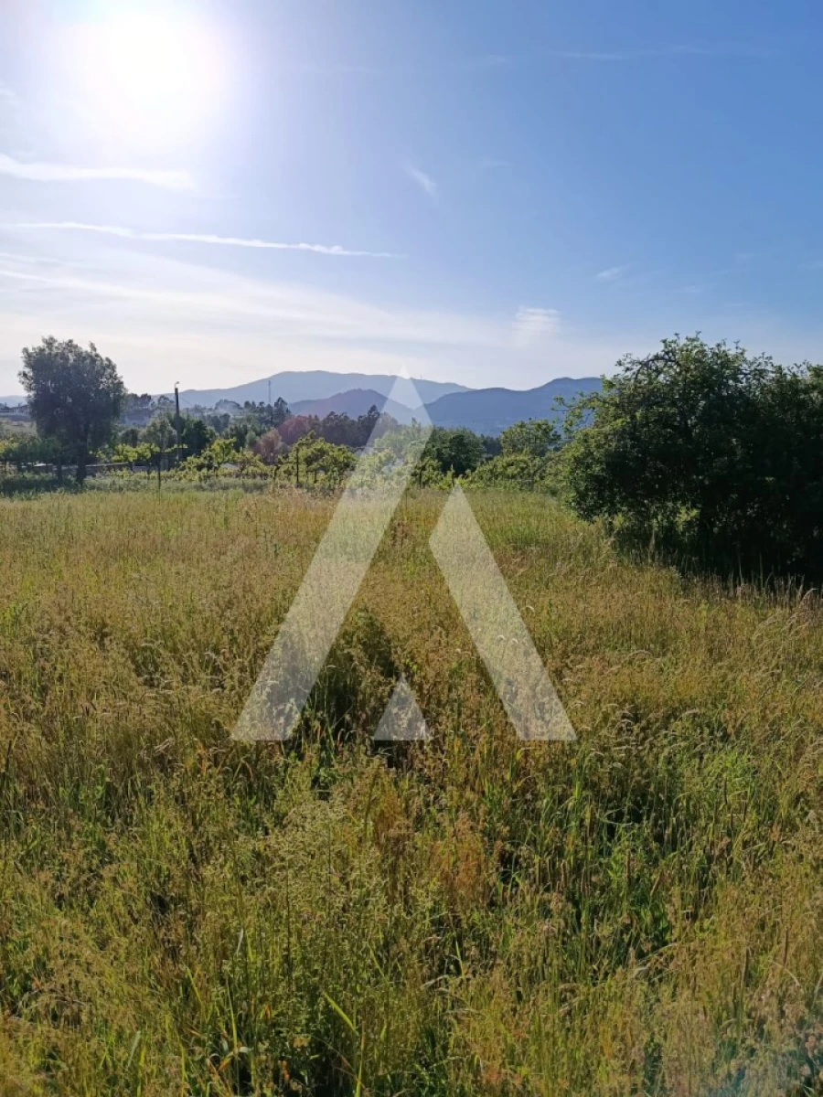 Terreno para Venda em Ribeira Foto 14