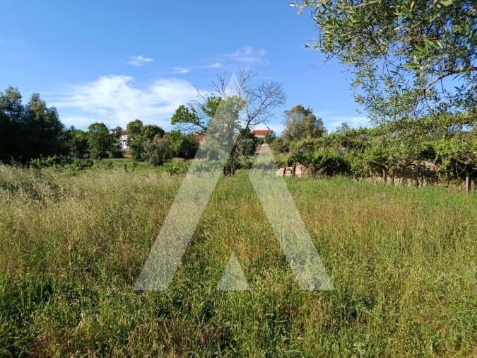 Terreno para Venda em Ribeira Foto 7