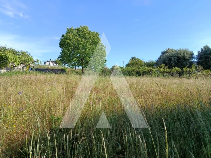 Terreno para Venda em Ribeira Foto 6