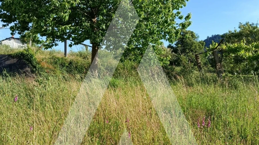 Terreno para Venda em Ribeira