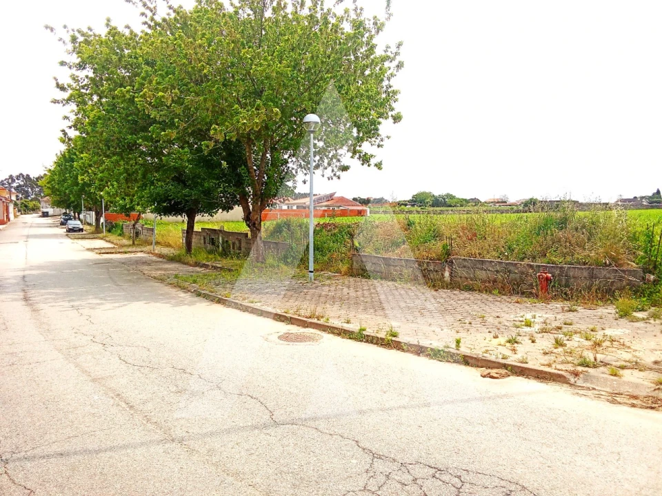 Terreno para Venda em Oliveirinha Foto 2