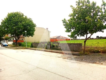 Terreno para Venda em Oliveirinha