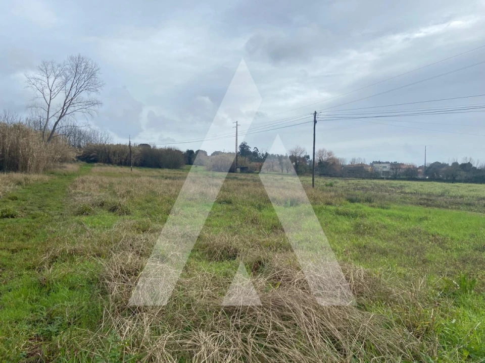 Terreno para Venda em Amoreira da Gândara, Paredes do Bairro e Ancas Foto 2