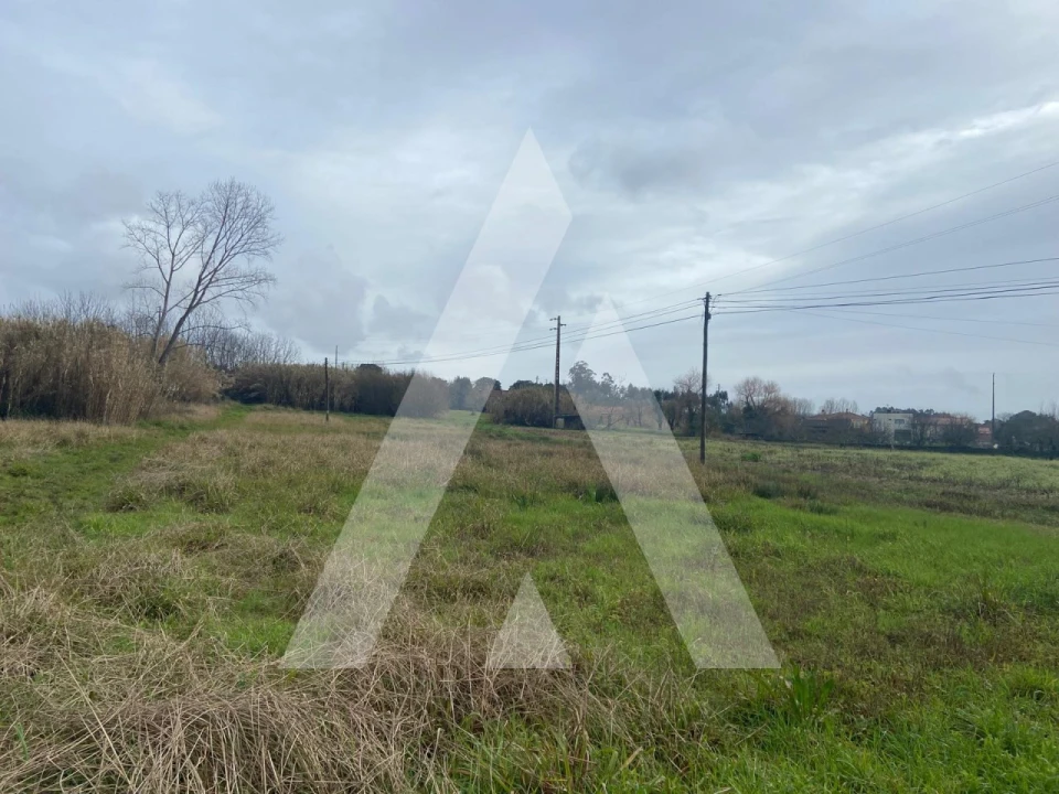 Terreno para Venda em Amoreira da Gândara, Paredes do Bairro e Ancas Foto 5