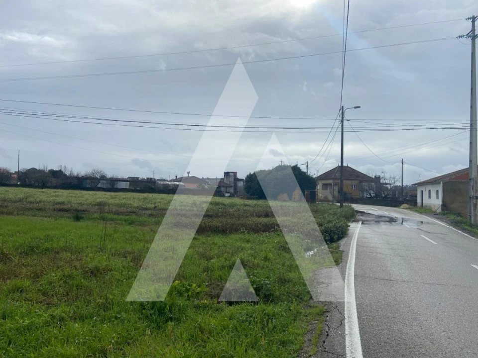Terreno para Venda em Amoreira da Gândara, Paredes do Bairro e Ancas Foto 6
