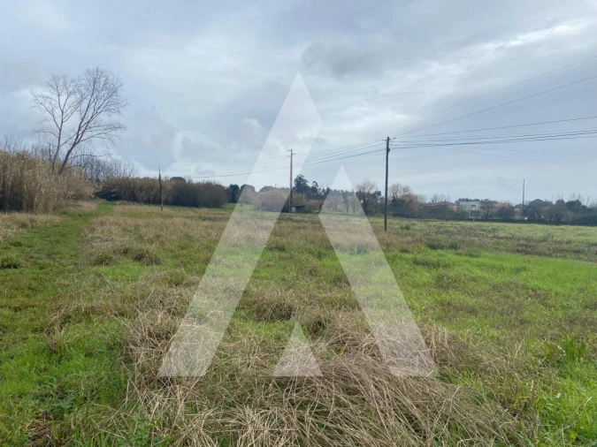 Terreno para Venda em Amoreira da Gândara, Paredes do Bairro e Ancas Foto 2