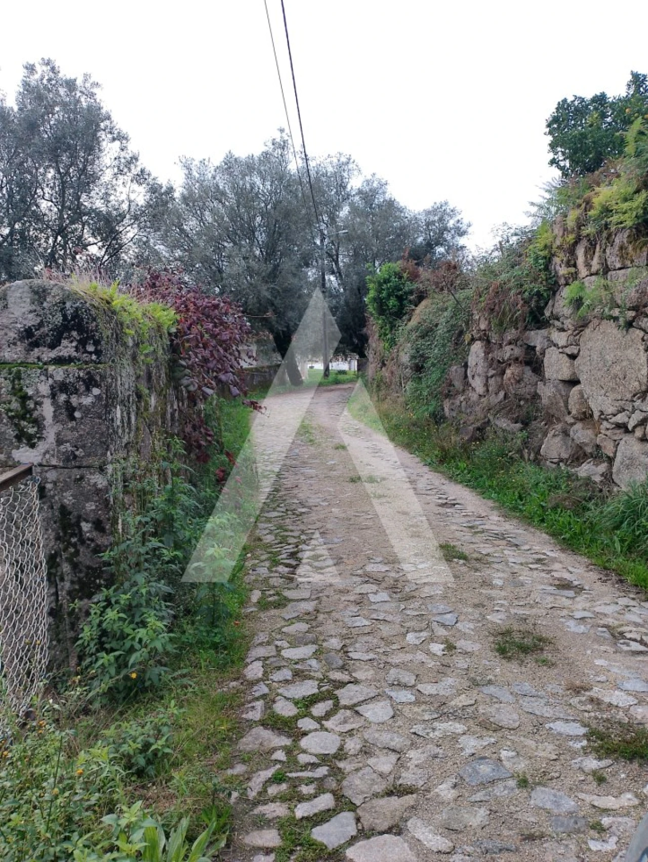 Terreno para Venda em Barroselas e Carvoeiro Foto 5