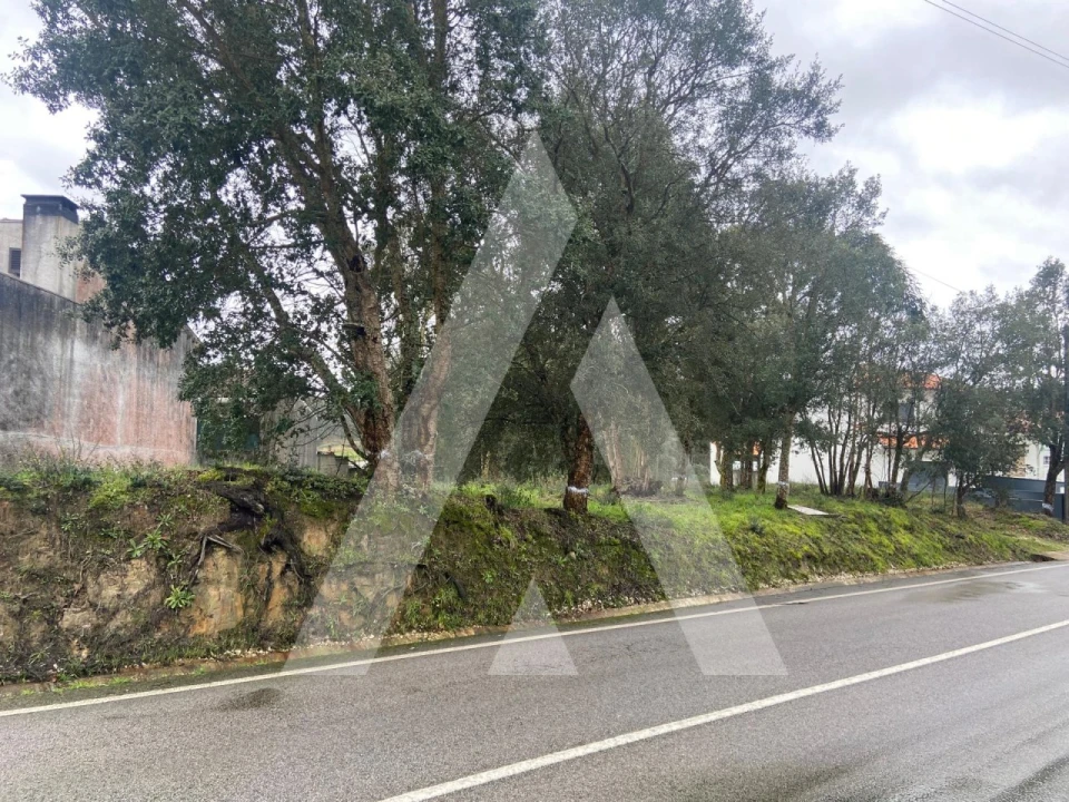 Terreno para Venda em Fermentelos Foto 1