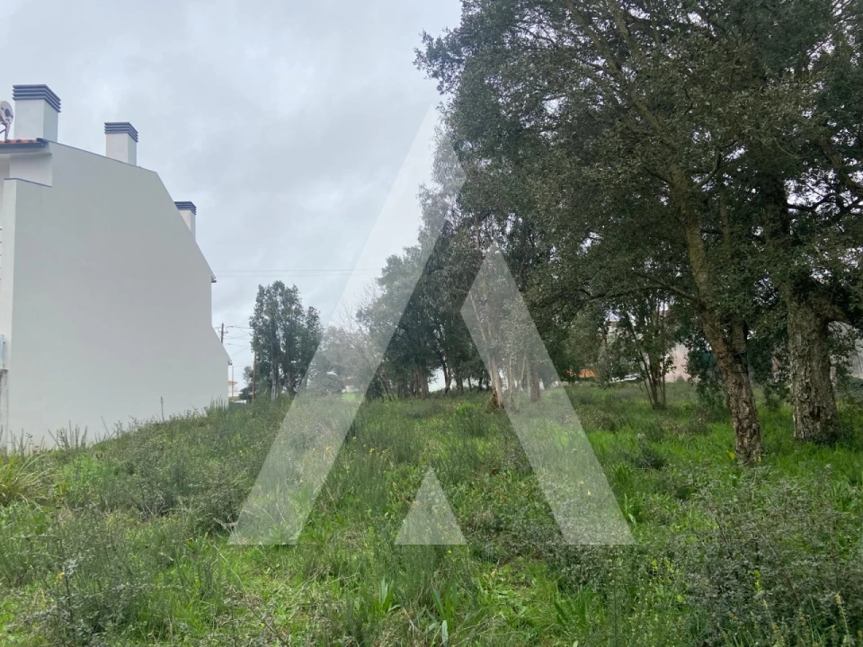 Terreno para Venda em Fermentelos Foto 3