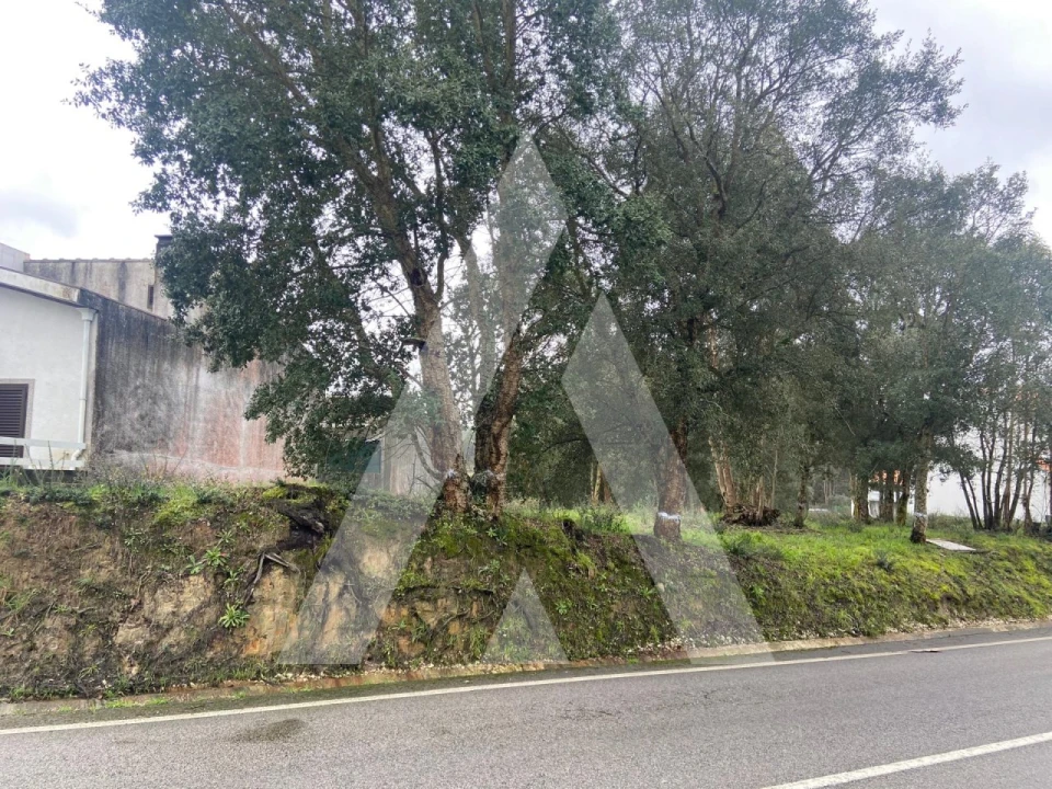 Terreno para Venda em Fermentelos Foto 7