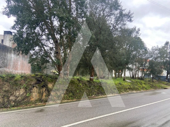 Terreno para Venda em Fermentelos