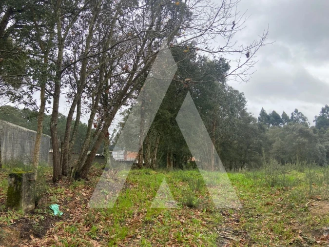 Terreno para Venda em Fermentelos Foto 5
