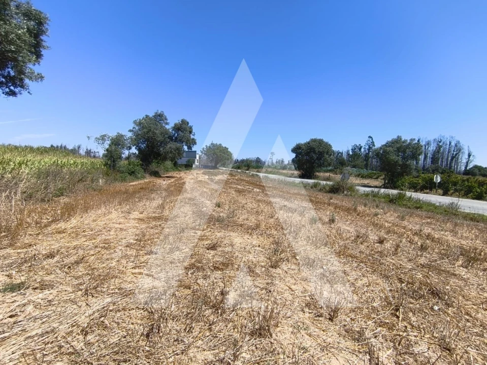 Terreno para Venda em Albergaria-A-Velha e Valmaior Foto 1