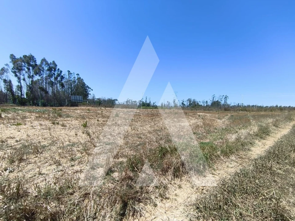 Terreno para Venda em Albergaria-A-Velha e Valmaior Foto 2