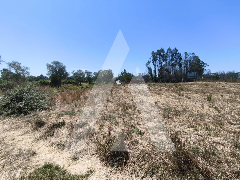 Terreno para Venda em Albergaria-A-Velha e Valmaior Foto 3
