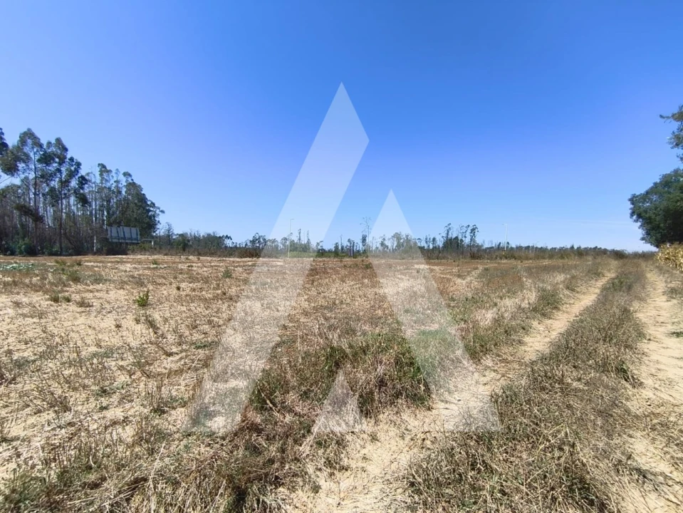 Terreno para Venda em Albergaria-A-Velha e Valmaior Foto 5