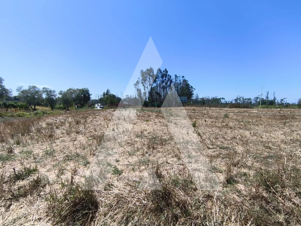 Terreno para Venda em Albergaria-A-Velha e Valmaior Foto 6