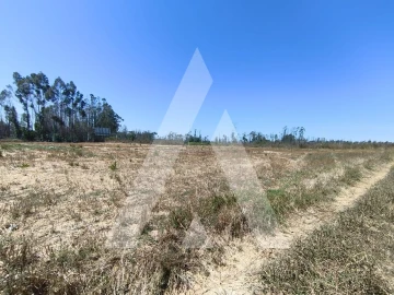 Terreno para Venda em Albergaria-A-Velha e Valmaior